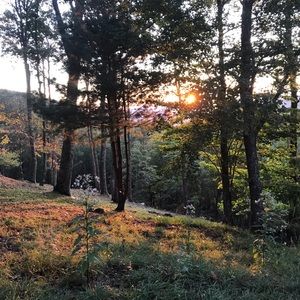 Meet your Posher, Jared